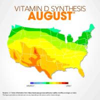 vitamin d august,