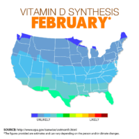 vitamin d synthesis february